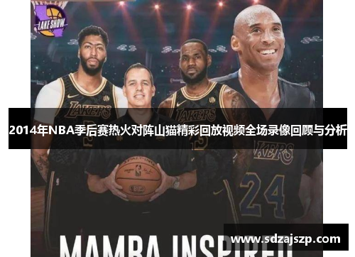 2014年NBA季后赛热火对阵山猫精彩回放视频全场录像回顾与分析