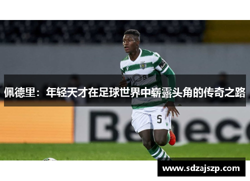 佩德里：年轻天才在足球世界中崭露头角的传奇之路