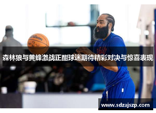 森林狼与黄蜂激战正酣球迷期待精彩对决与惊喜表现